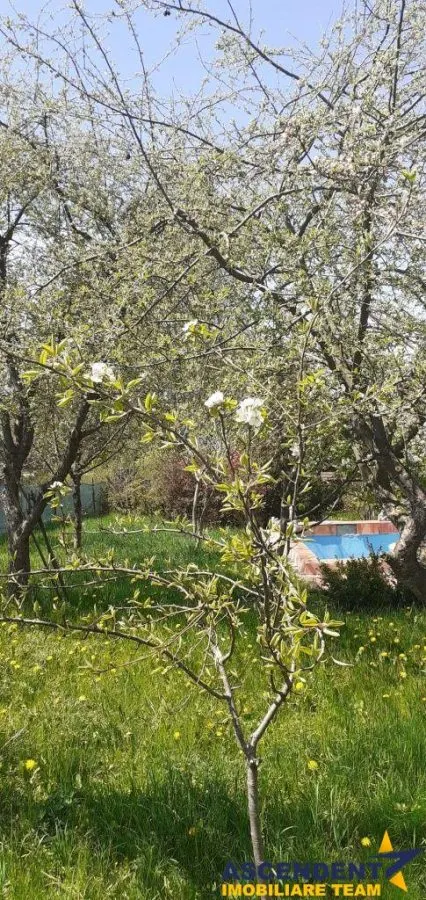 Casa cu gradina, piscina  si alte facilitati, Tarlungeni, Brasov - foto 1