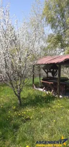 Casa cu gradina, piscina  si alte facilitati, Tarlungeni, Brasov - foto 6