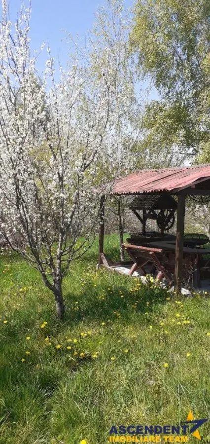 Casa cu gradina, piscina  si alte facilitati, Tarlungeni, Brasov - foto 6