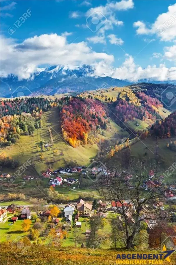 Ansamblu Hotelier & Rezidential/ Investitional, Clasificat, Bran, Brasov - foto 9