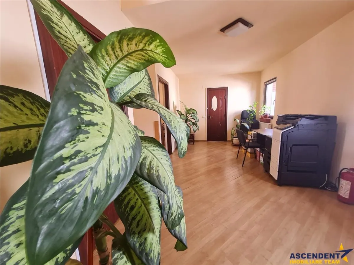 Casa nerezidentiala de vanzare, in Cartierul Florilor - foto 15