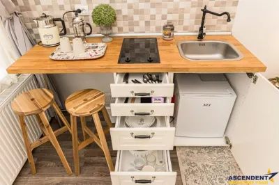 Casa cu 3 apartamente de vanzare, Centrul Istoric - foto 8