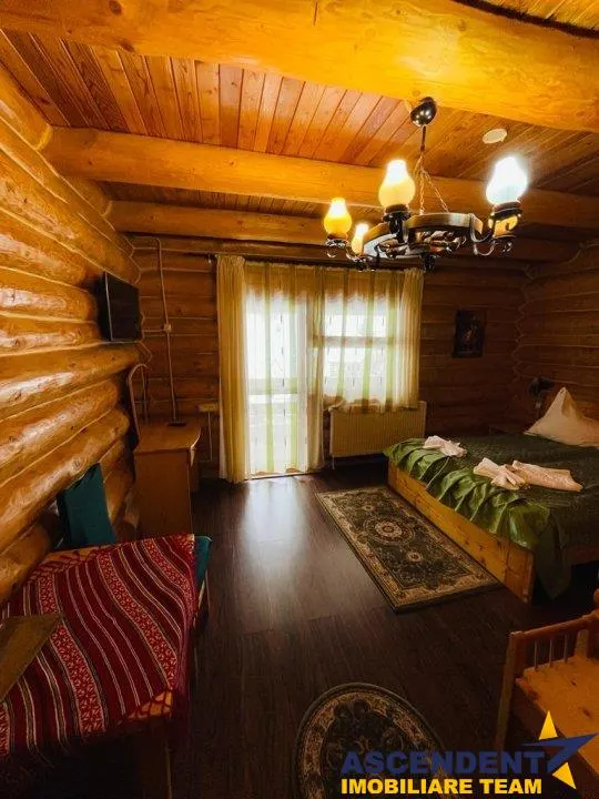 Linie HoReCa, Moieciu, Bran, Brasov - foto 10