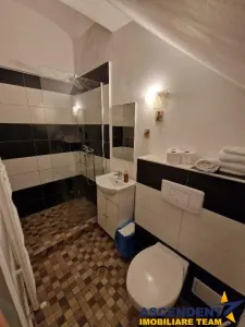 Centru Istoric - foto 10