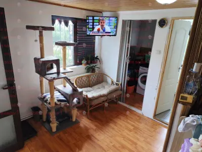 Casa P+1 400 mp teren Godeanu Carrefour Colosseum - foto 17