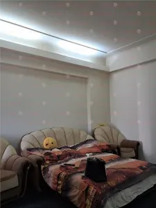 Apartament 4 camere Victoriei Bd. Alexandru Ioan Cuza - Risc 2 seismic - foto 23