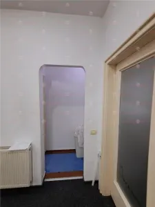 Apartament 4 camere Victoriei Bd. Alexandru Ioan Cuza - Risc 2 seismic - foto 39