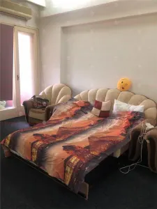 Apartament 4 camere Victoriei Bd. Alexandru Ioan Cuza - Risc 2 seismic - foto 43
