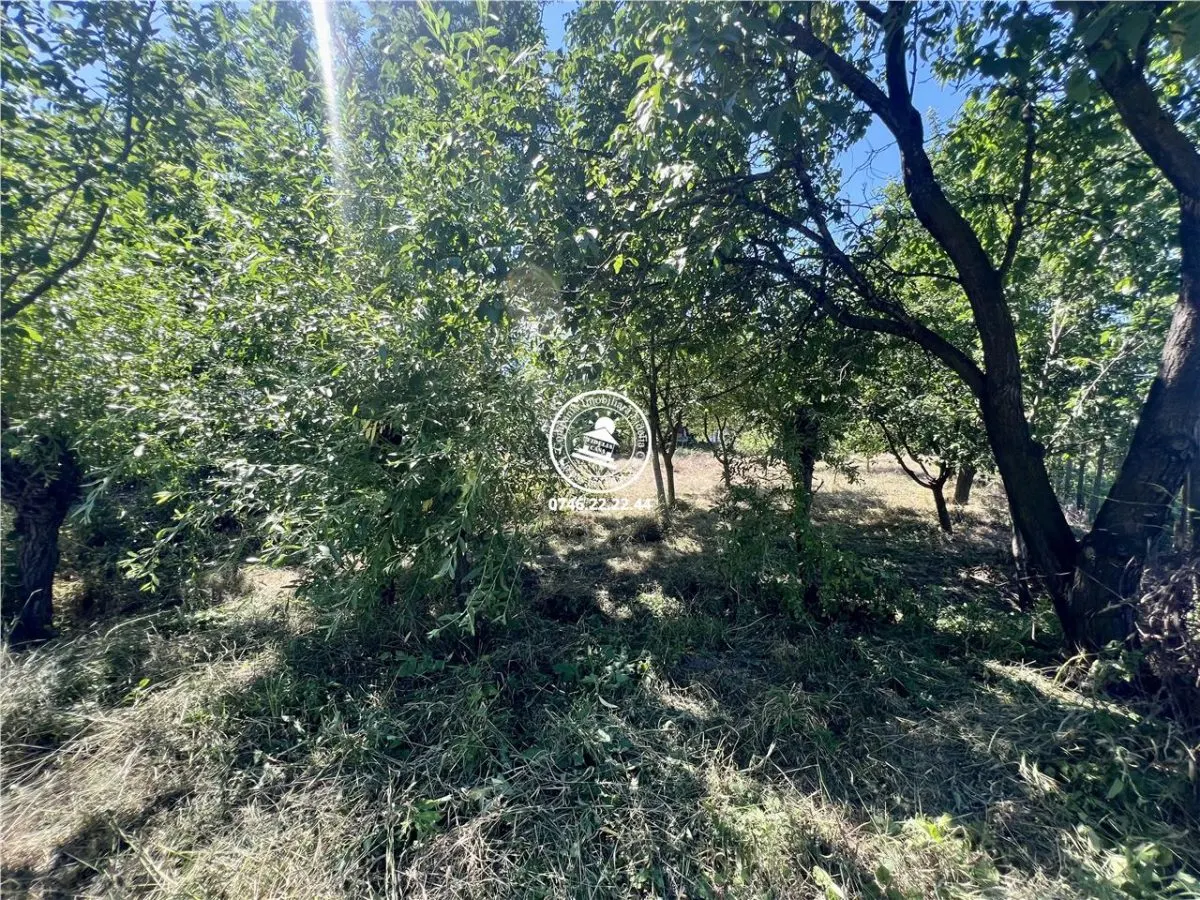 Vila  de vanzare Iasi Ciurea, Ciurea, - foto 13