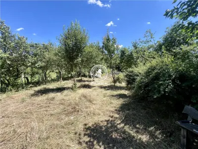Vila  de vanzare Iasi Ciurea, Ciurea, - foto 9