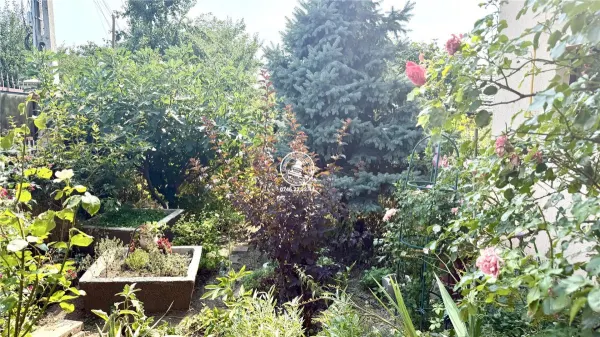 Casă 5 camere Aroneanu - poza 22
