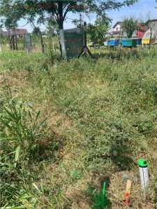 Vanzare teren localitatea Magurele - foto 5
