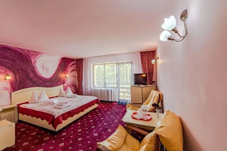 Mobilata si echipata, in plina functionalitate, conditii apreciabile, Predeal, Brasov - foto 4