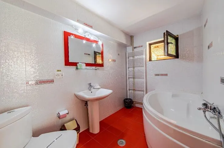 Mobilata si echipata, in plina functionalitate, conditii apreciabile, Predeal, Brasov - foto 7
