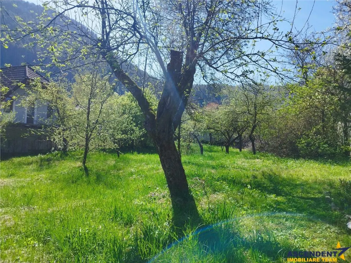 1.600 mp teren, cu casa renovabila, Schei, Brasov - foto 4
