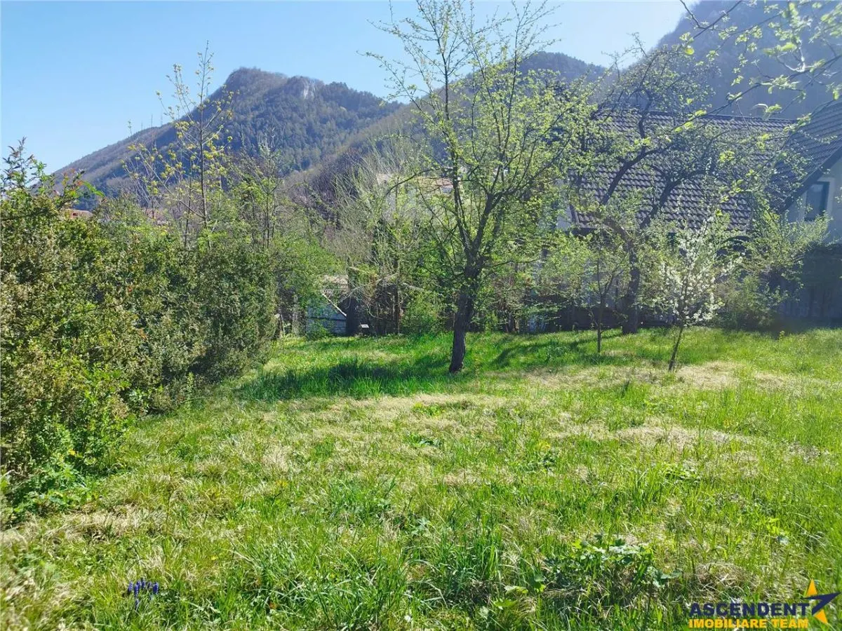 1.600 mp teren, cu casa renovabila, Schei, Brasov - foto 7
