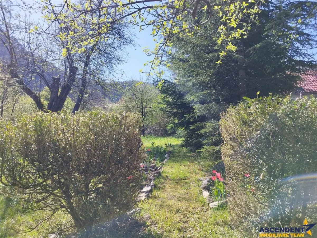 1.600 mp teren, cu casa renovabila, Schei, Brasov - foto 8