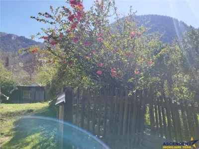 Casa renovabila, cu 1.600 mp, Schei, Brasov - foto 2