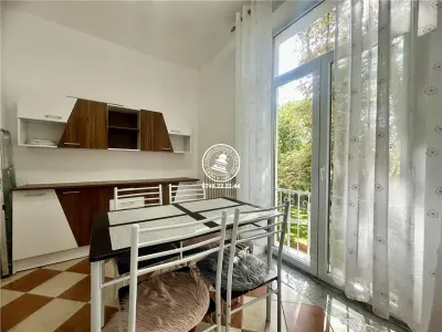 Apartament 2 camere  decomandat Copou, - foto 6