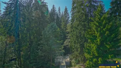 Sub aripa paduri, deschidere DN, acces apa curgatoare, Darste, Brasov - Brasov