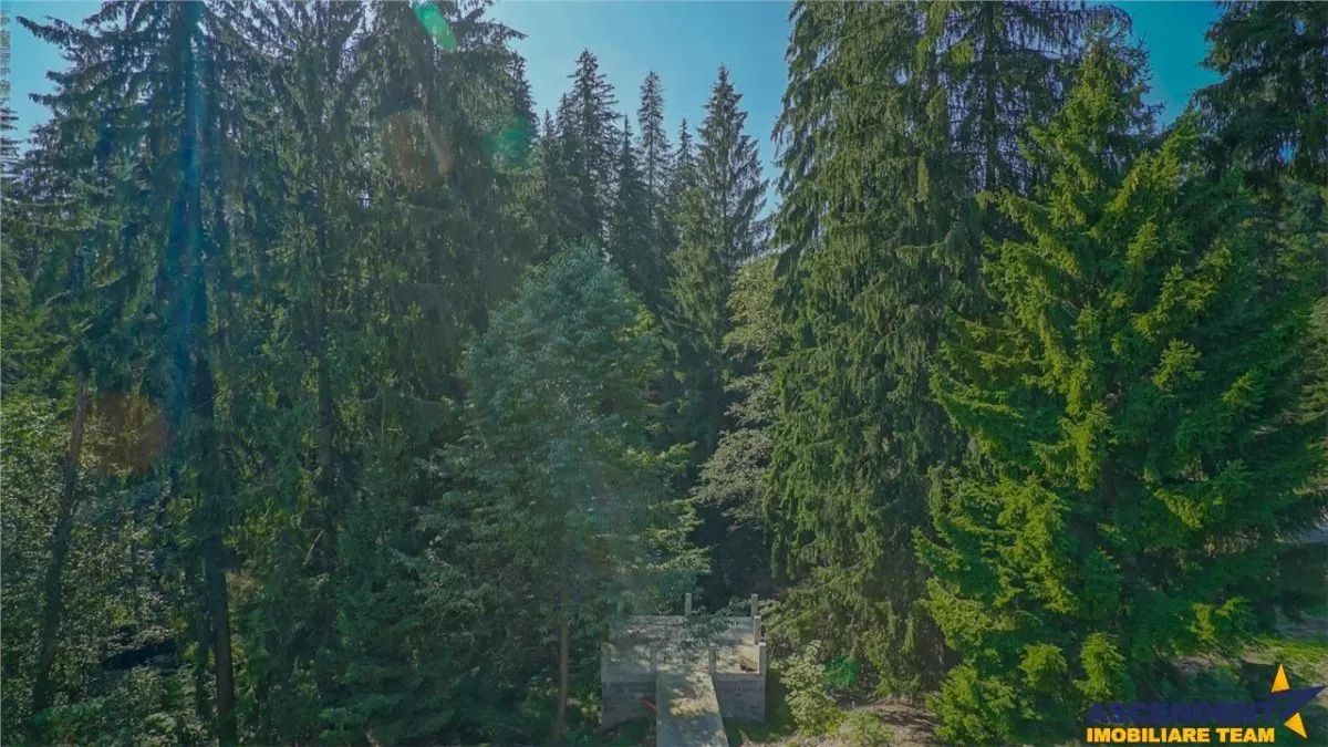 Sub aripa paduri, deschidere DN, acces apa curgatoare, Darste, Brasov - foto 1