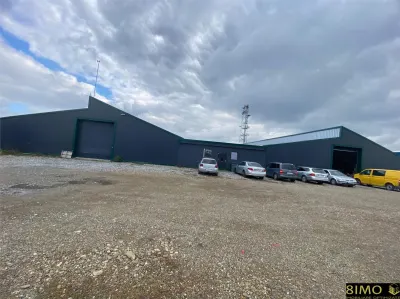 Hale de vanzare - Bosanci SV - foto 3