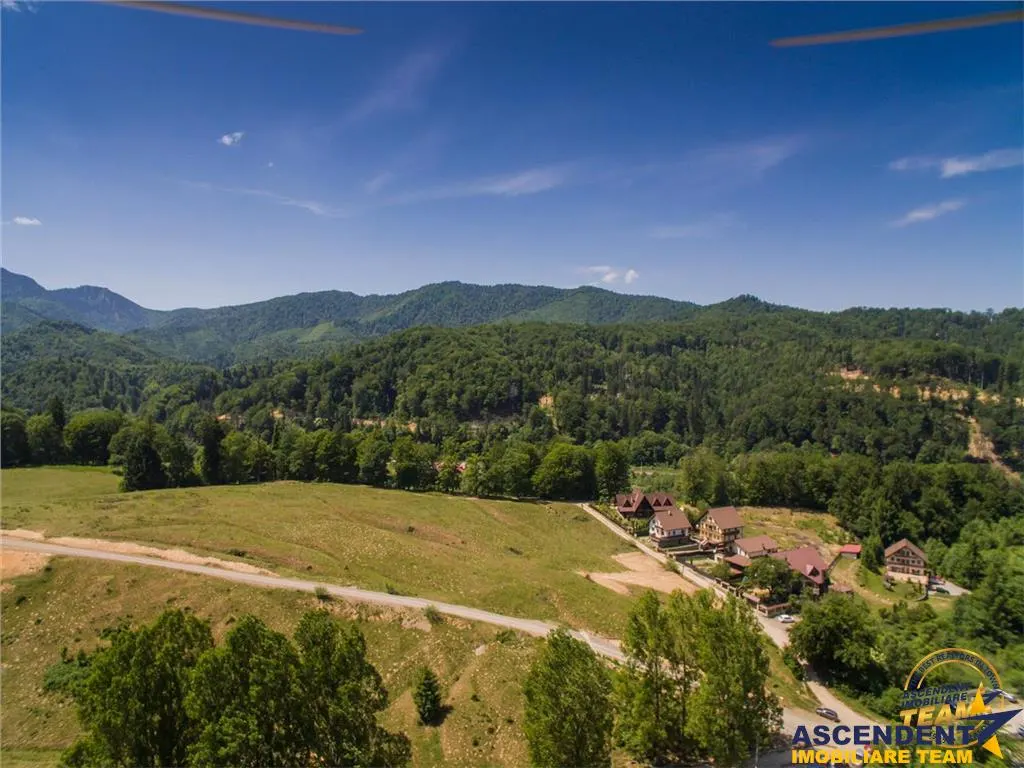 Casa, Dambul Morii, Brasov, in alintul si linistea naturii - foto 3