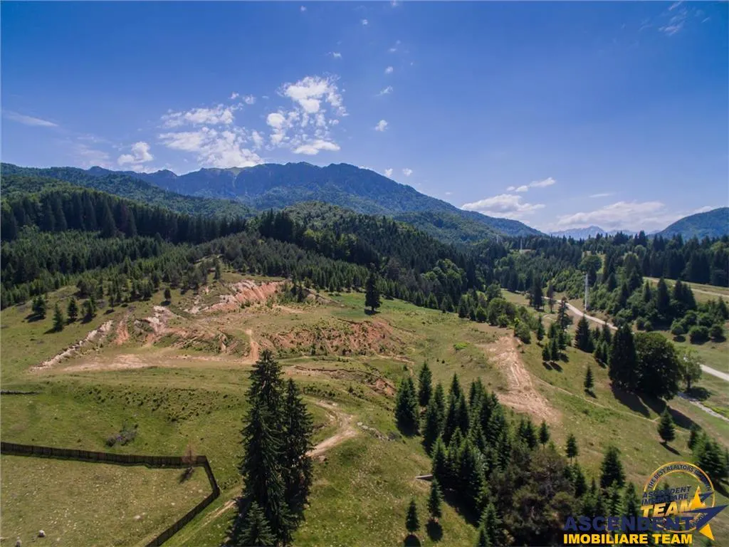 Casa, Dambul Morii, Brasov, in alintul si linistea naturii - foto 5