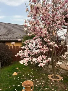 Vila  de vanzare  Horpaz, - foto 4