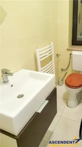 Vila exceptionala, cu design contemporan si amenajari premium, Vanatori, Galati - foto 10