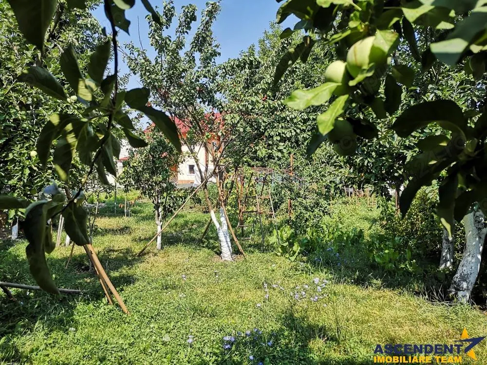 Vila+hala+teren, Bartolomeu, Brasov - foto 1