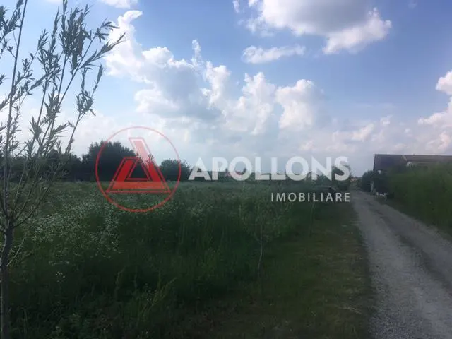 Vanzare Teren Snagov, la 30 km de Bucuresti - foto 10