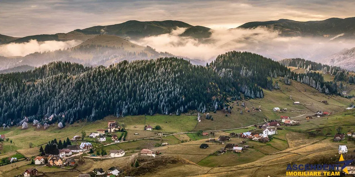 8.000 mp teren, Bran, Fundata, Brasov - foto 1