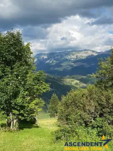 8.000 mp teren, Bran, Fundata, Brasov - foto 2