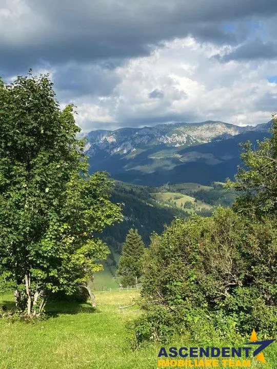 8.000 mp teren, Bran, Fundata, Brasov - foto 2