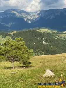 8.000 mp teren, Bran, Fundata, Brasov - foto 13