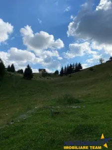 8.000 mp teren, Bran, Fundata, Brasov - foto 3