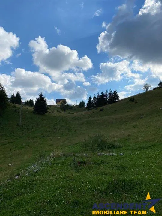8.000 mp teren, Bran, Fundata, Brasov - foto 3