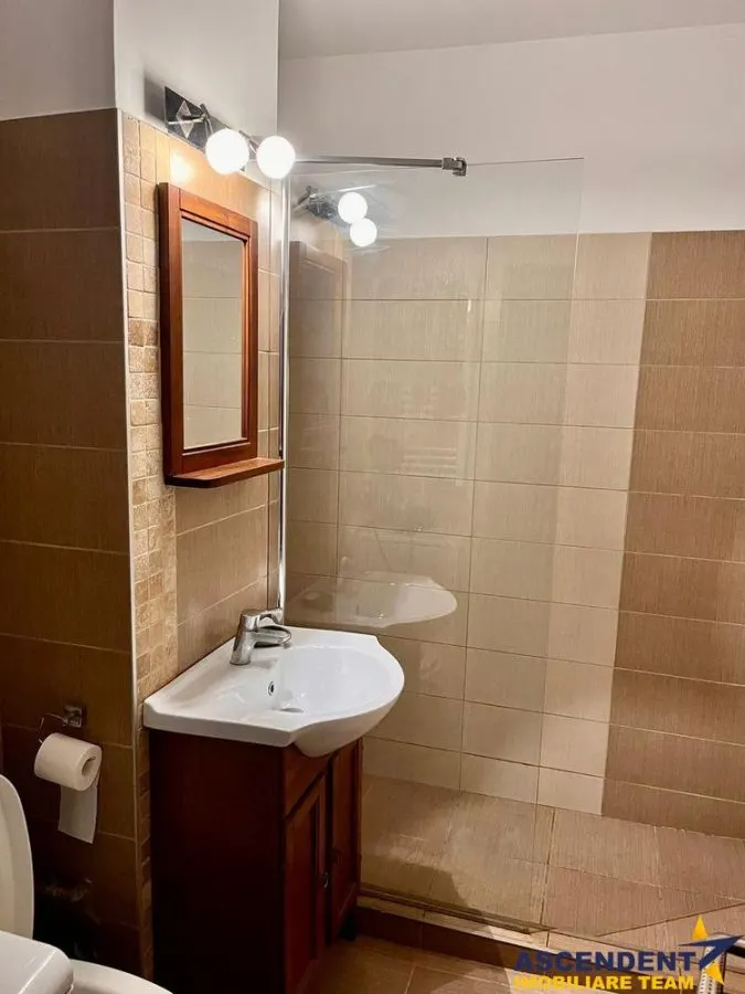 Studio, Astra - Racadau, Brasov - foto 7