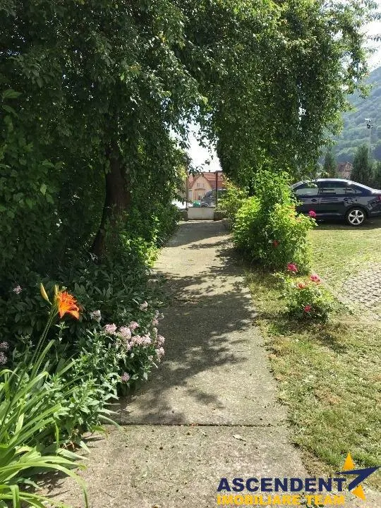 Ansamblu, Centru Istoric, Brasov - foto 1