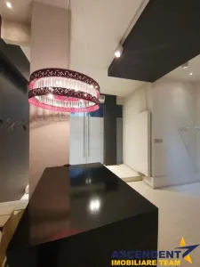 Spatiu elegant, compozitie versatina, curte interioara, Central, Targu Mures. - foto 7