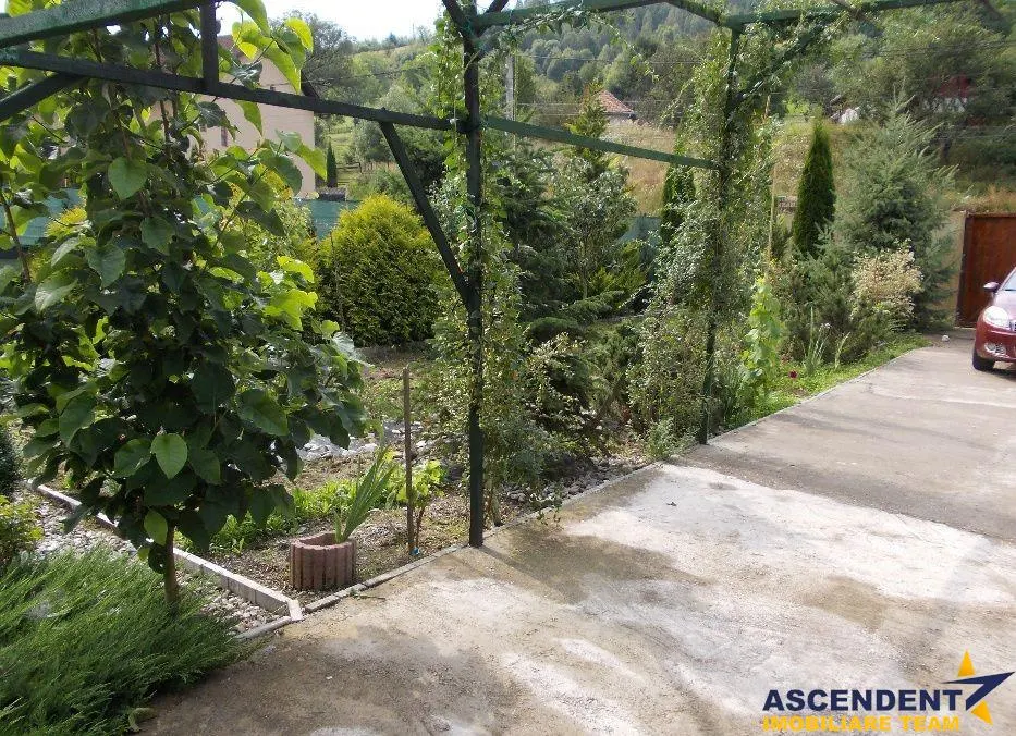 Rezidenta pe teren generos, cu culturi pomicole, Moieciu, Bran, Brasov - foto 1