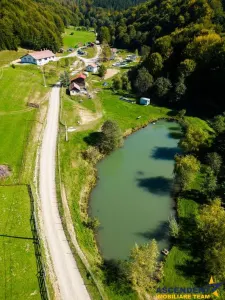 Ansamblu de vanzare Brasov - Brasov