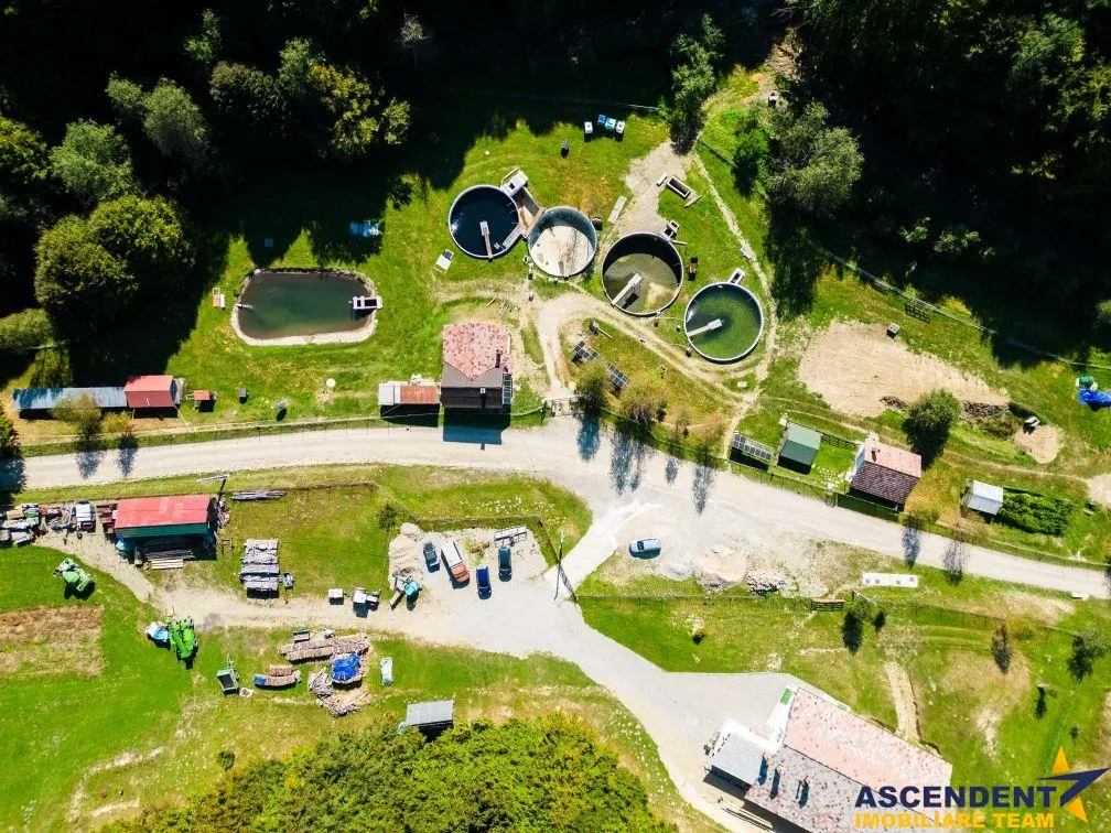 Ansamblu de vanzare Brasov - foto 3