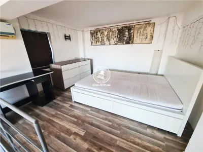 Apartament 2 camere  de vanzare  Bucium, - foto 3