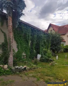 Casa de vanzare Blumana 3 - foto 2