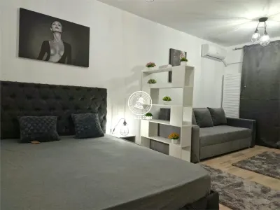 Apartament 1 camera  de vanzare  Tatarasi - Metalurgie, - foto 3