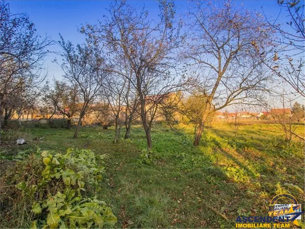 Pe 2.300mp teren, Resedinta impresionanta cu doua aripuri independente - foto 11