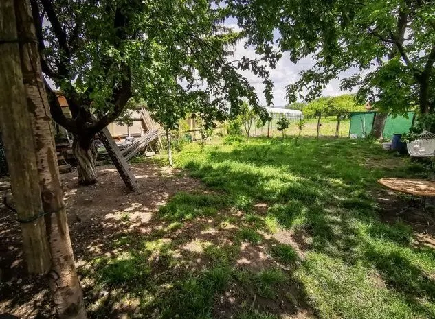 Pe 2.300mp teren, Resedinta impresionanta cu doua aripuri independente - foto 3