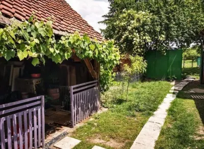 Pe 2.300mp teren, Resedinta impresionanta cu doua aripuri independente - foto 6